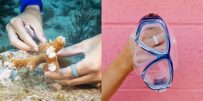 Two pictures, one showing new corals being planted underwater, the other showing a snorkle mask